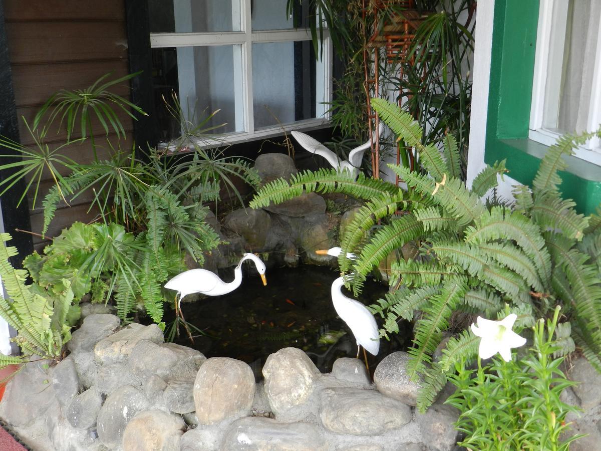 Eeescart Resort Nuwaraeliya Nuwara Eliya Extérieur photo